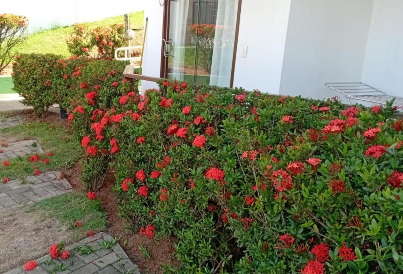 Flat Em Pipa - Brisas Do Amor Praia de Pipa Pokój zdjęcie